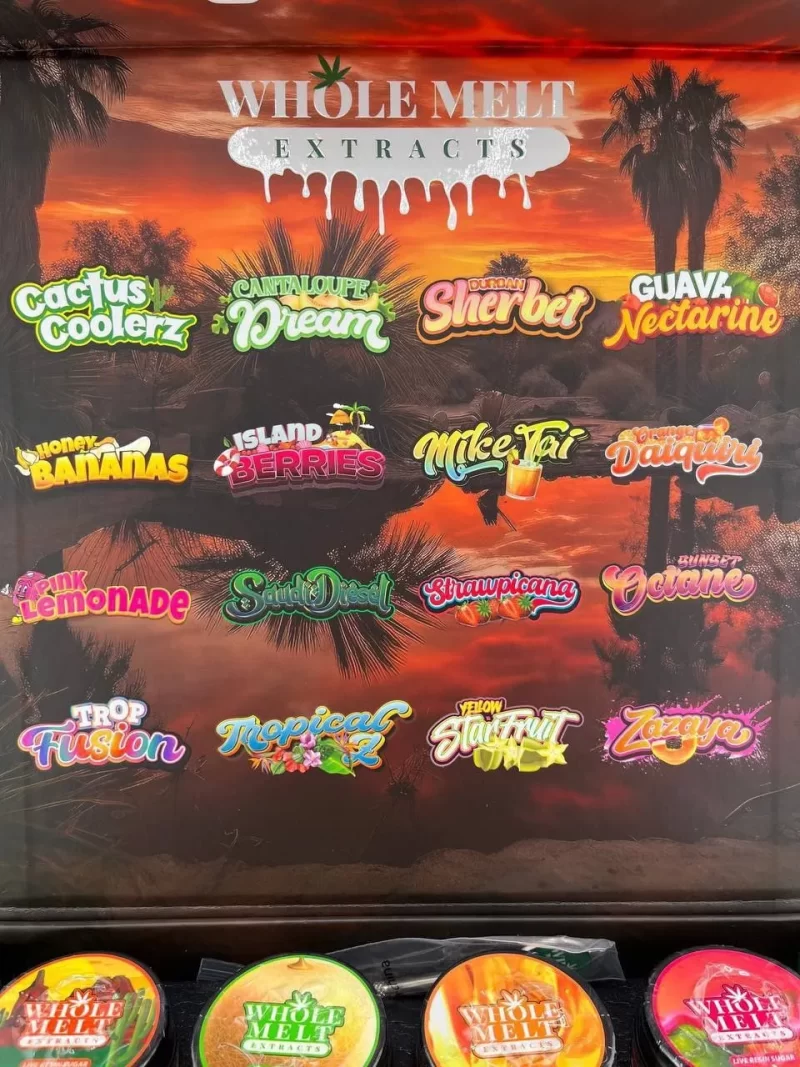 Authentic Whole Melt Oasis Edition - Image 2